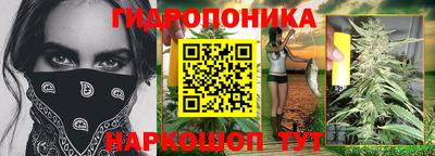 apvp Шелехов