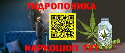 apvp Шелехов