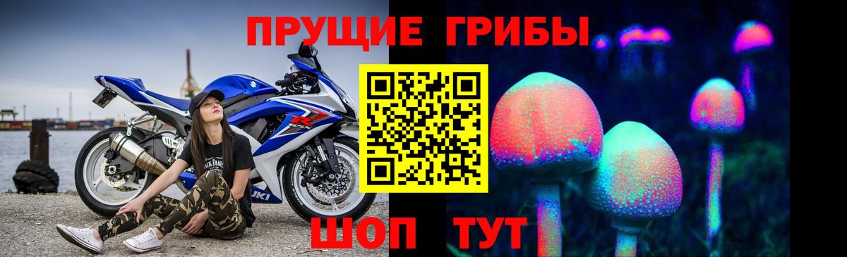 Галлюциногенные грибы Cubensis  Псилоцибиновые грибы мицелий  Вход с VPN  Лабытнанги 